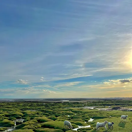 Fernsicht Sankt Peter-Ording