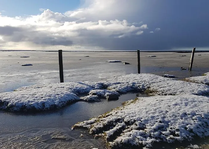 Fernsicht فندق Böhl